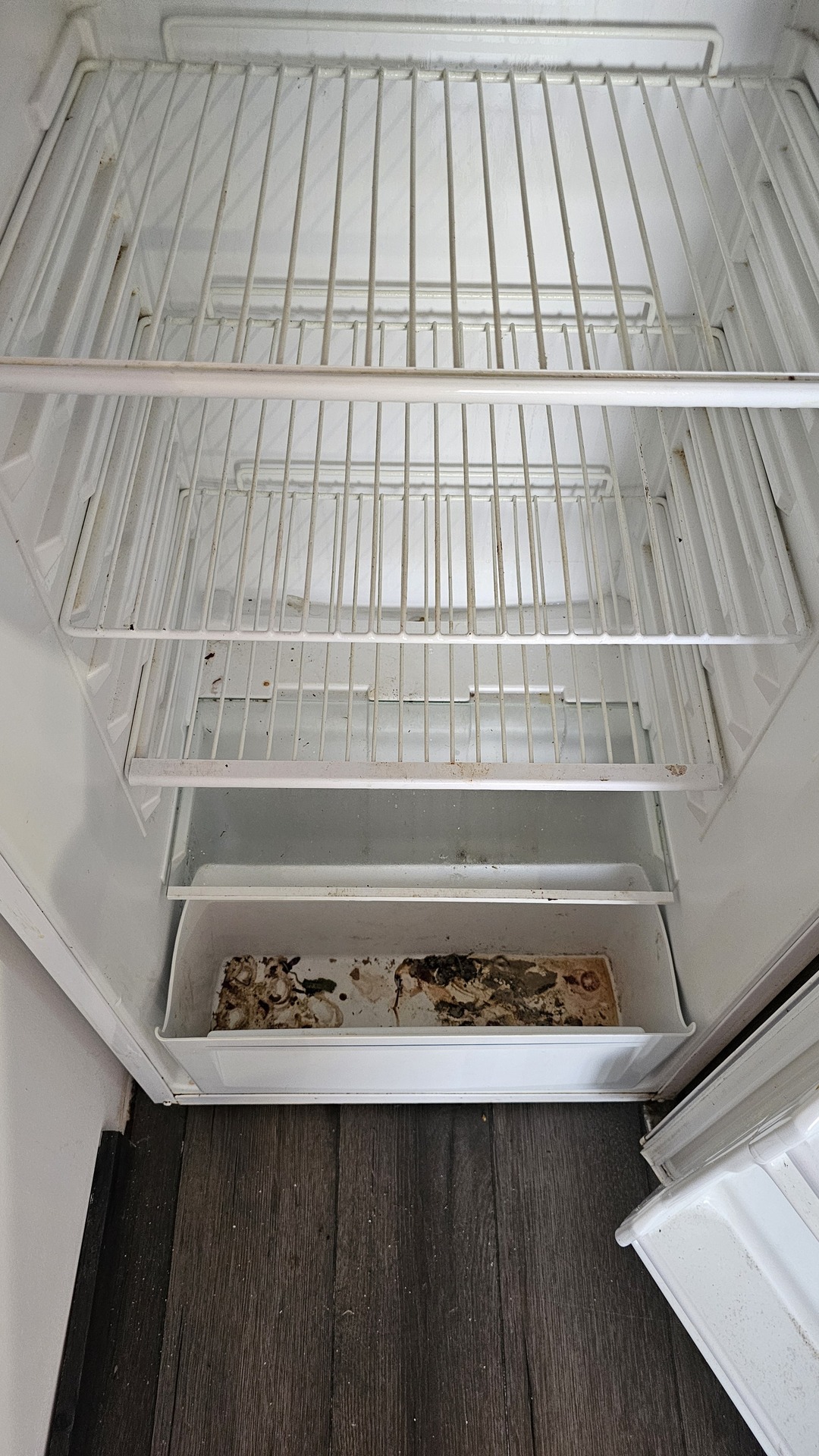 Before photo for Почистване на фурна