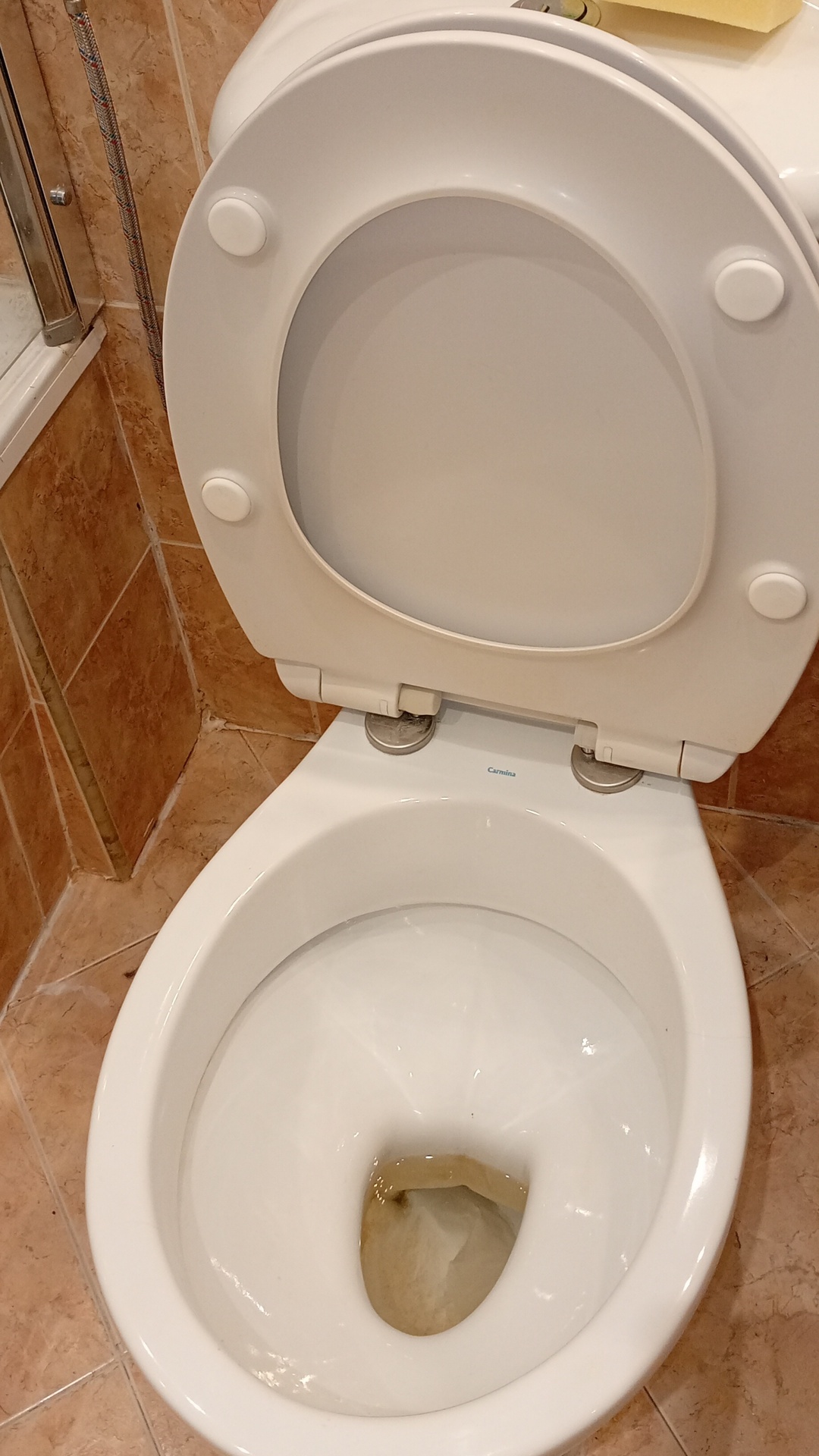 Before photo for Deep Cleaning