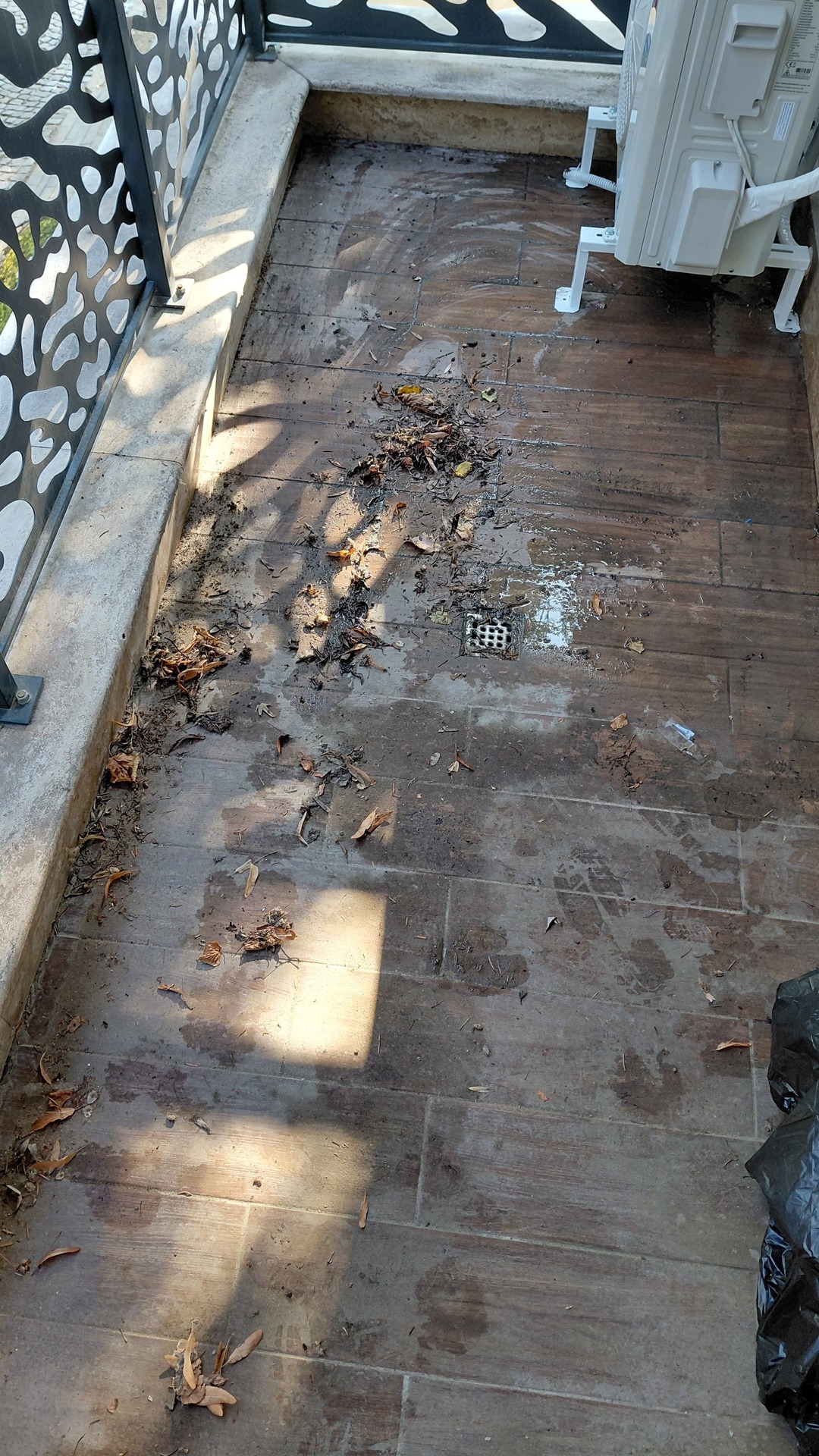 Before photo for Основно почистване