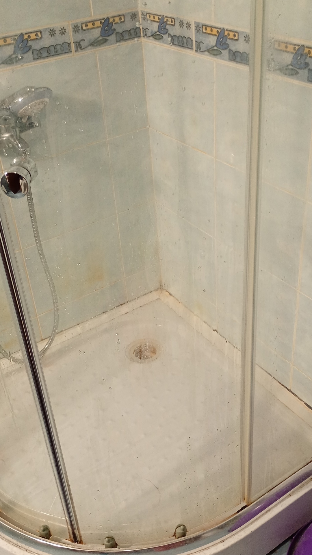 Before photo for Основно почистване