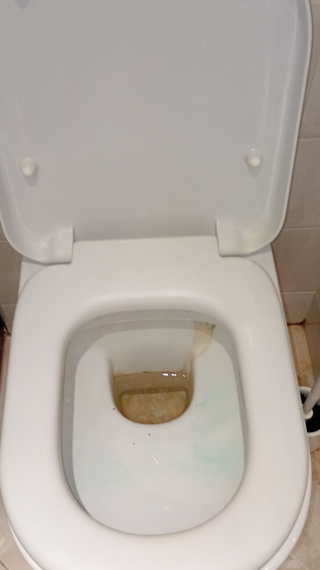 Before photo for Deep Cleaning