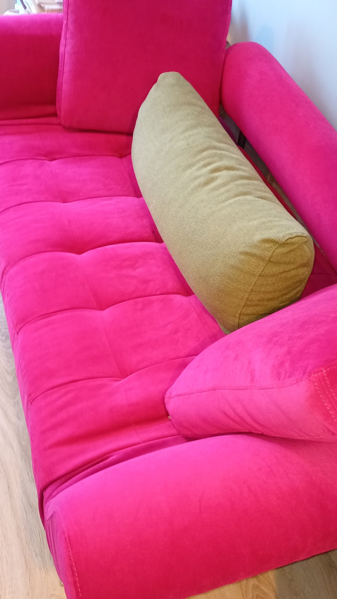 Before photo for Upholstery Cleaning