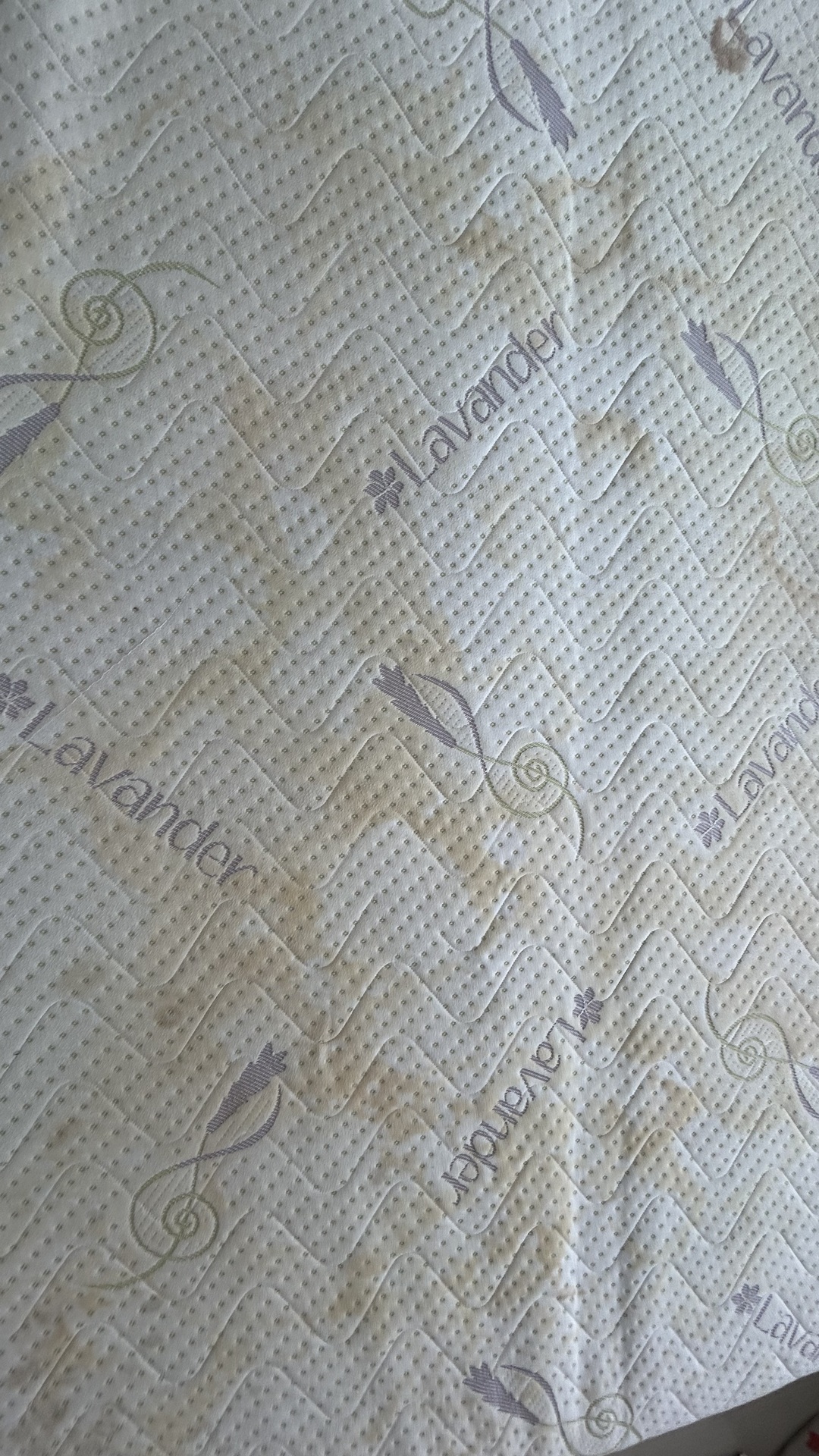 Before photo for Upholstery Cleaning